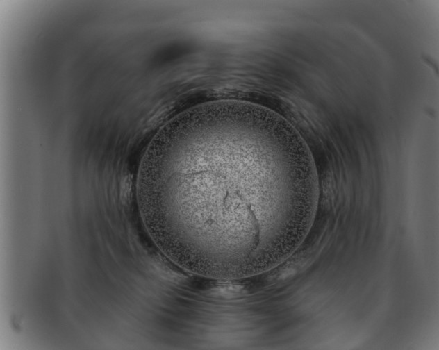 X0000091720278200708311145