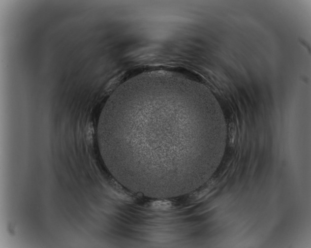 X0000091720279200708311145