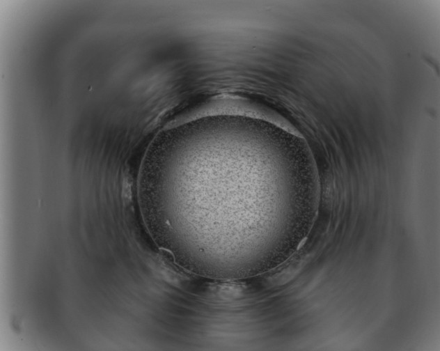 X0000091720282200708311145