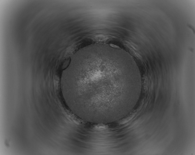 X0000091720283200708311145