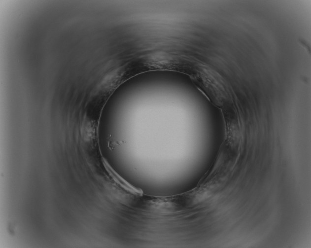 X0000091720284200708311145