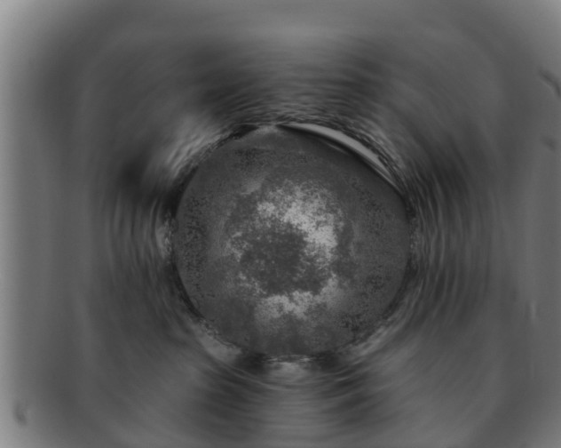 X0000091720285200708311145