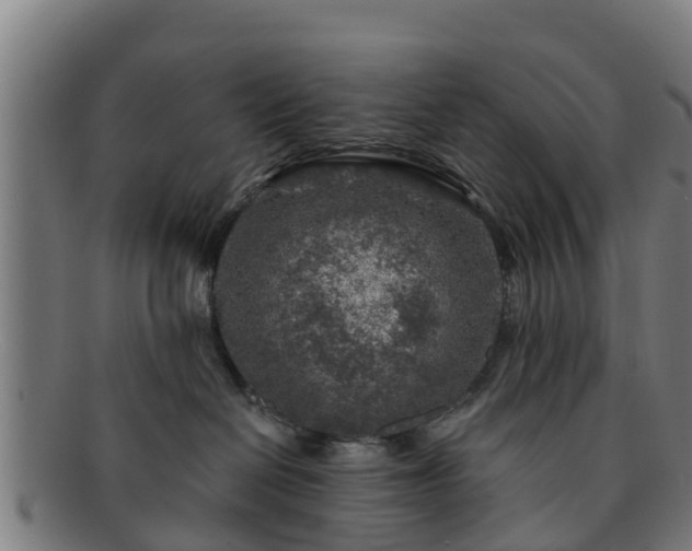 X0000091720286200708311146