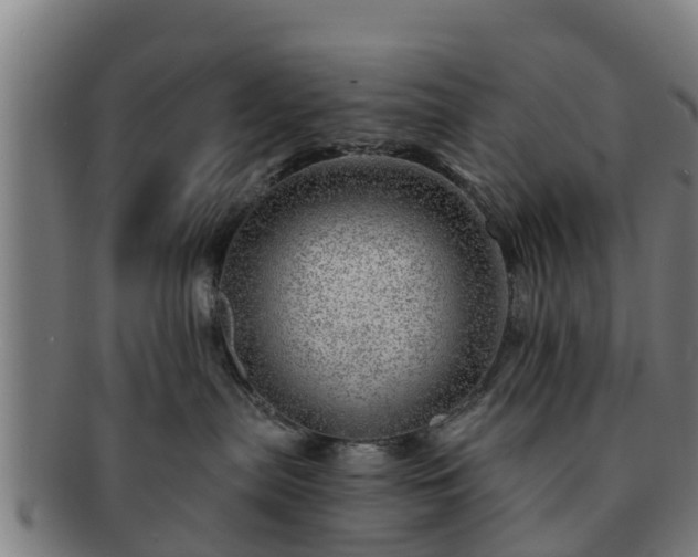 X0000091720287200708311146