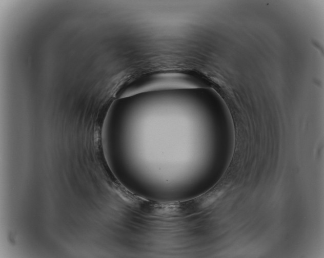 X0000091720288200708311146