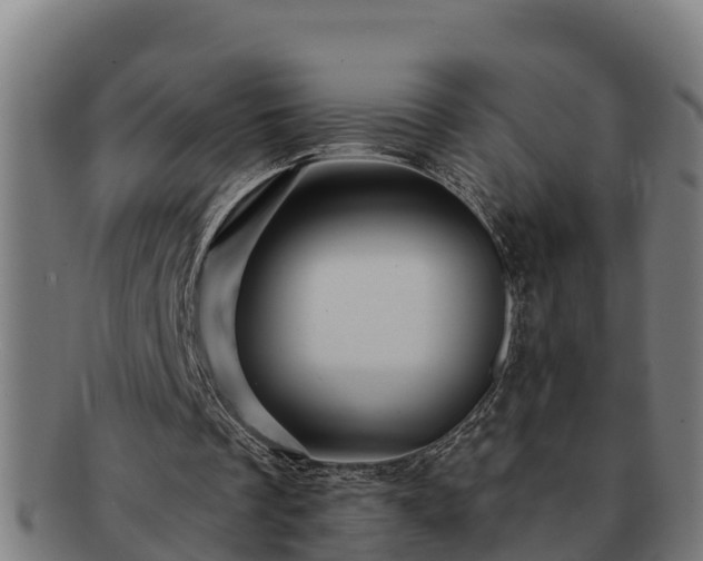 X0000091720289200708311145