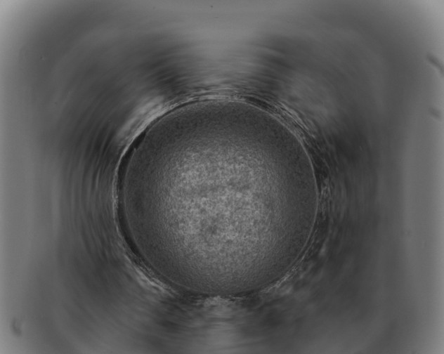 X0000091720290200708311145