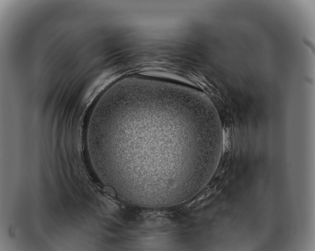 X0000091720291200708311145