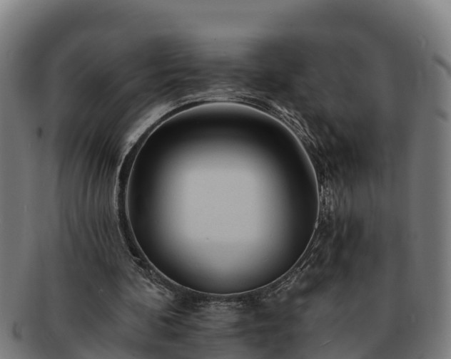 X0000091720292200708311145