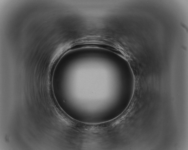 X0000091720293200708311145