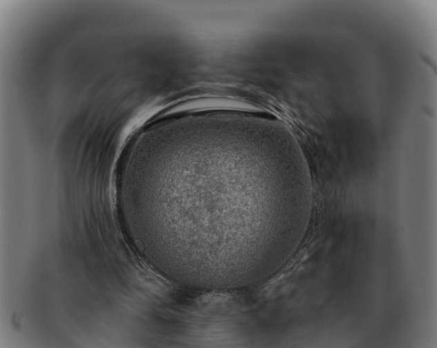 X0000091720294200708311145