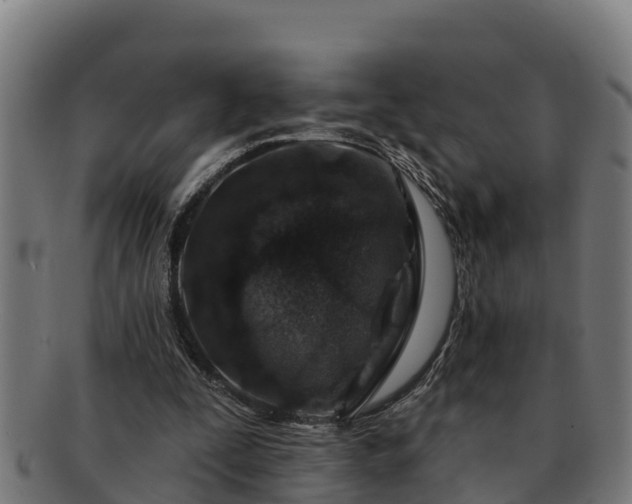 X0000091720295200708311145