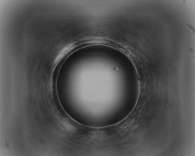 X0000091720296200708311145