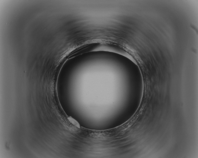 X0000091720297200708311145