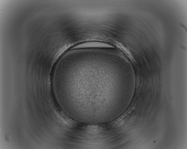 X0000091720298200708311145