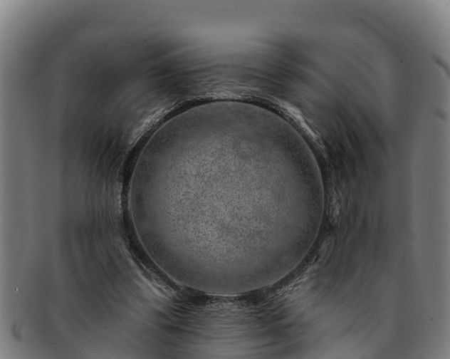 X0000091720299200708311145