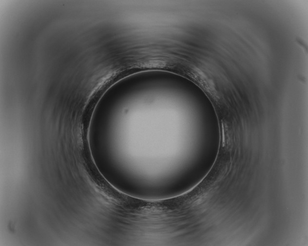 X0000091720300200708311145