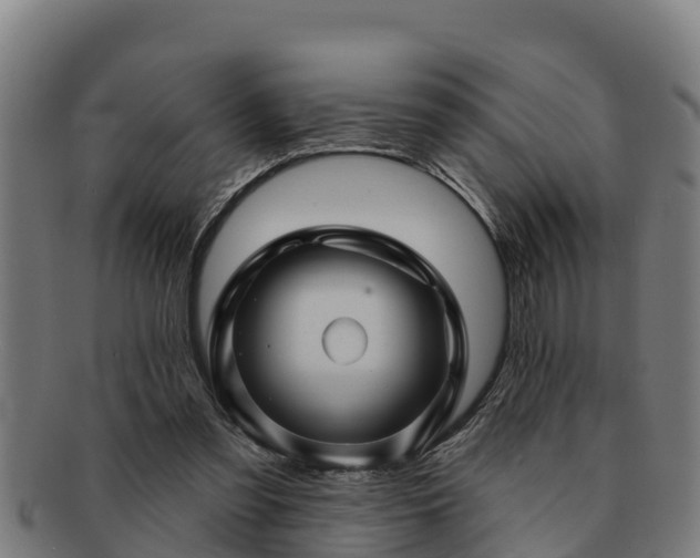 X0000091720301200708311145