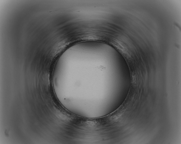 X0000091720302200708311145