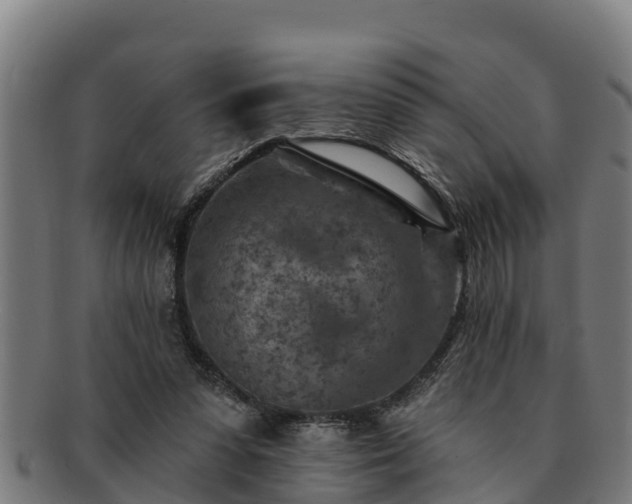 X0000091720303200708311145