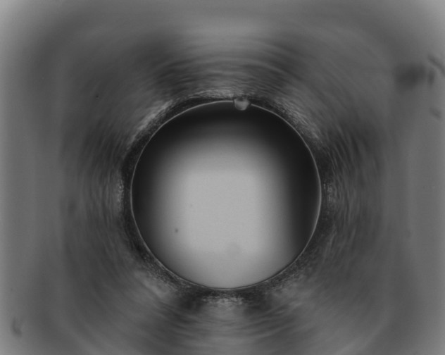 X0000091720304200708311145