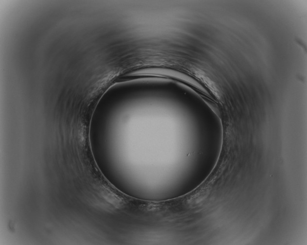 X0000091720305200708311145