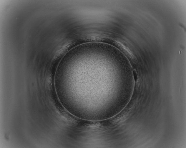 X0000091720306200708311145