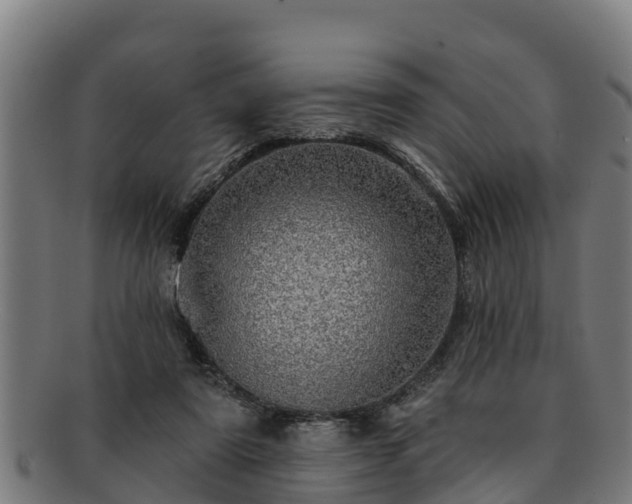 X0000091720307200708311145