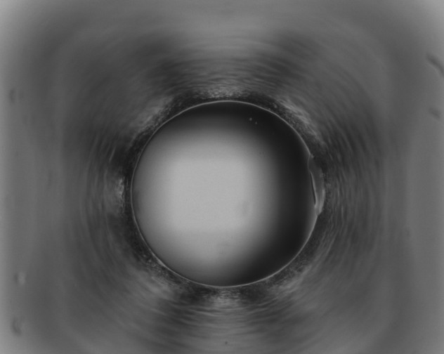 X0000091720308200708311145