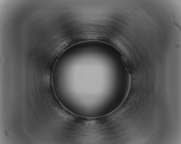 X0000091720309200708311145