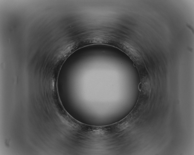 X0000091720310200708311145