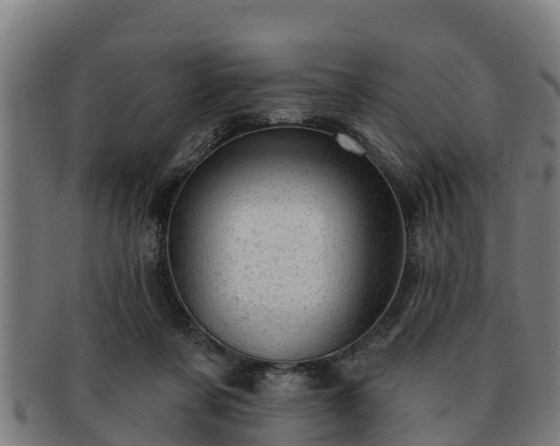 X0000091720311200708311145