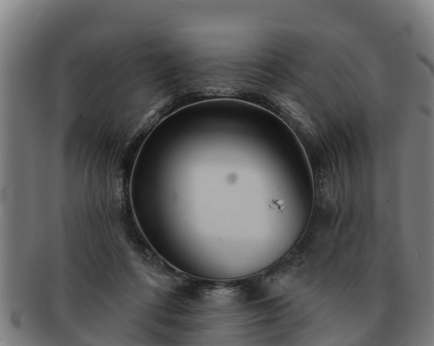 X0000091720312200708311145