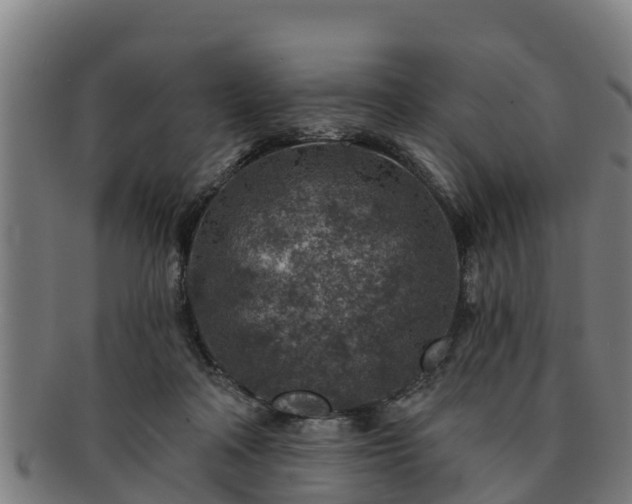 X0000091720314200708311145