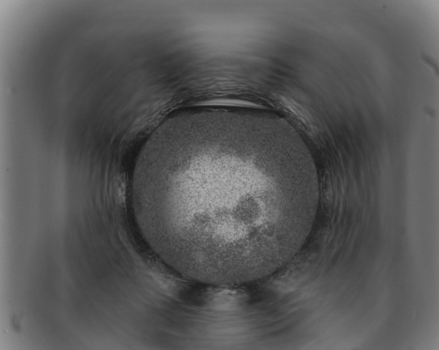 X0000091720315200708311145