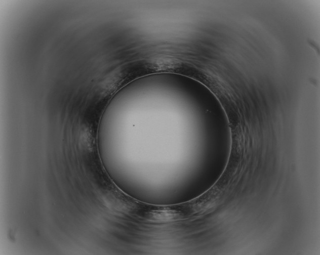 X0000091720316200708311145