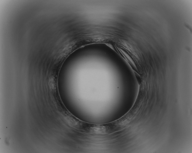 X0000091720317200708311145