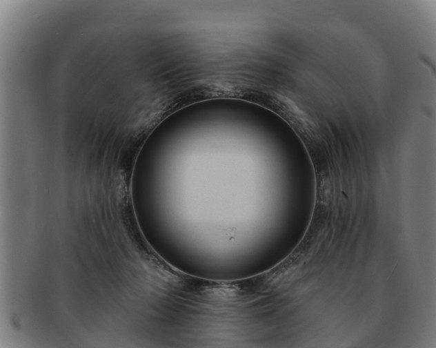 X0000091720318200708311144