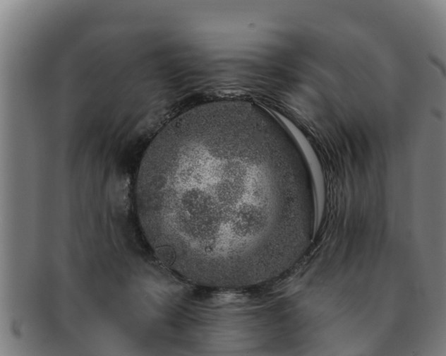 X0000091720319200708311144