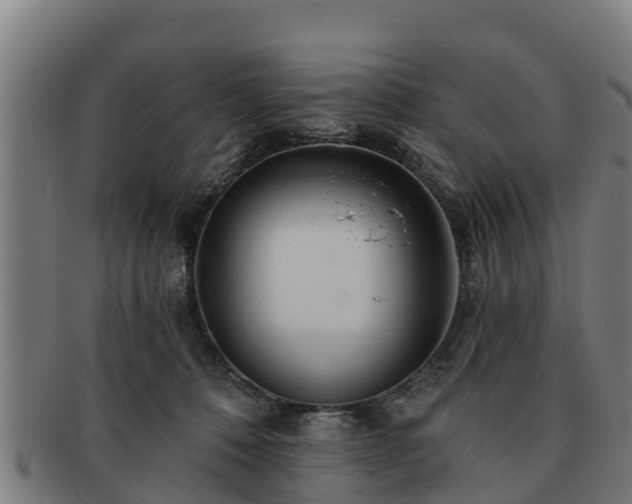 X0000091720320200708311144