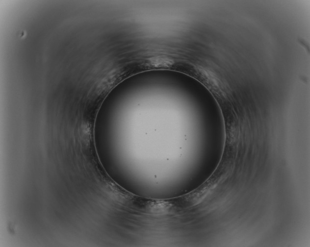 X0000091720321200708311144