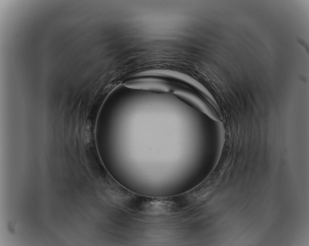 X0000091720323200708311144