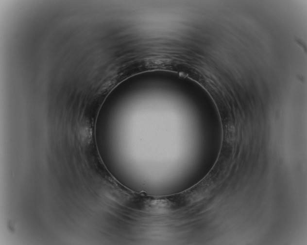 X0000091720324200708311144