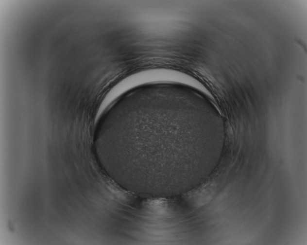 X0000091720325200708311144