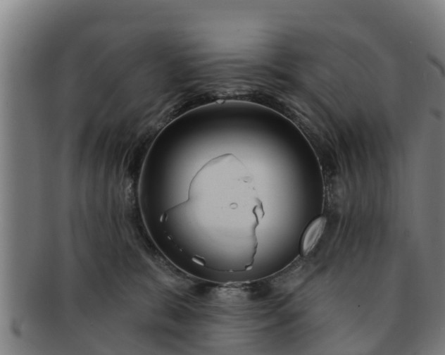 X0000091720327200708311144