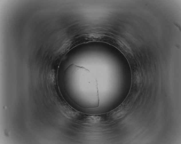 X0000091720328200708311144