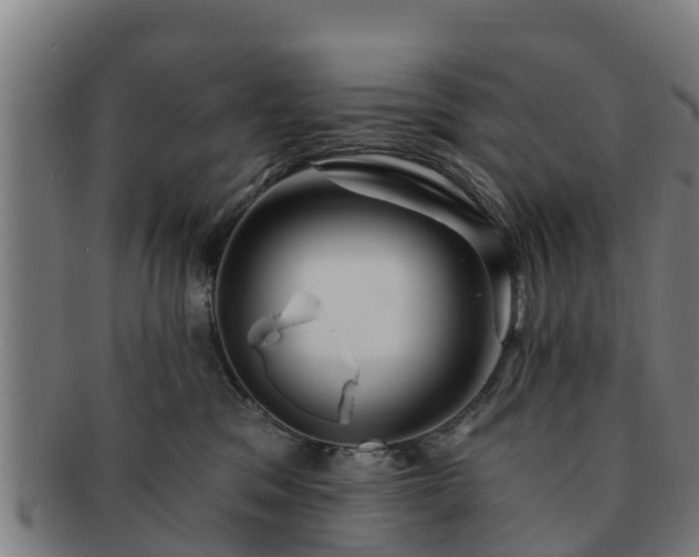 X0000091720329200708311144