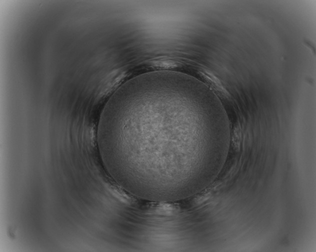 X0000091720330200708311144