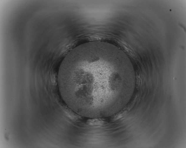 X0000091720331200708311144