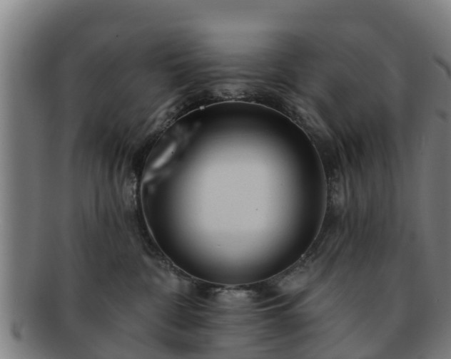 X0000091720332200708311144